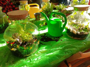 IMG_20221027_102036695.jpg