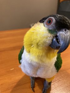 IMG_9069.jpeg